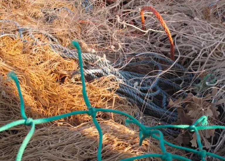 Ghost gear is one of the major causes of marine pollution