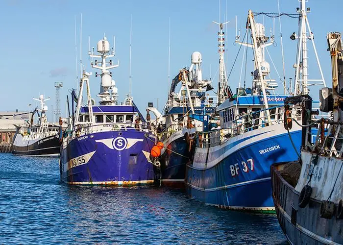 The SeaTrace project aims to define a traceability system for the marine by-products industry Photo: Karen Murray