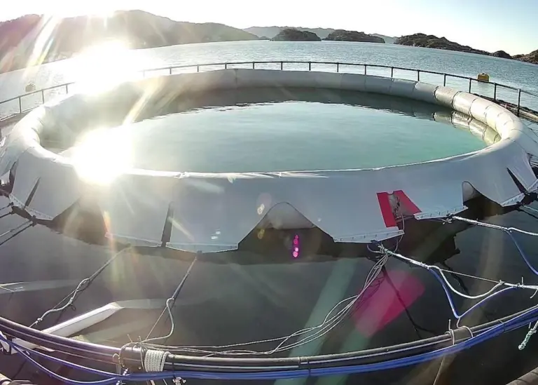 Starfish closed cage starts ocean trials