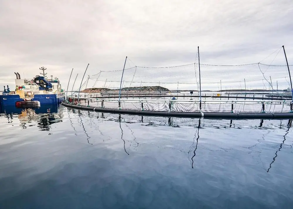 Norcod has established a new location in Meløy Photo: Norcod