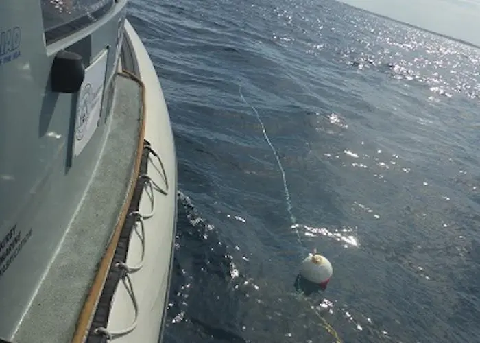 Hefty fines for breaching entanglement rules