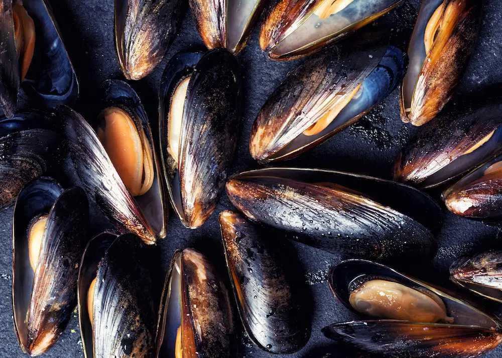 The blue mussel is a valuable natural resource in Scotland Photo: SAIC