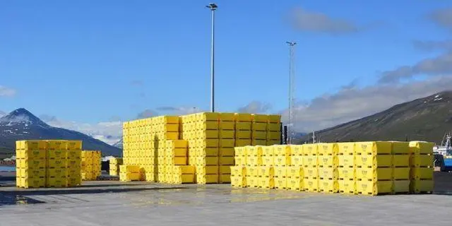 New Sæplast tubs stacked on the quay at Dalvík. Photo - Sæplast