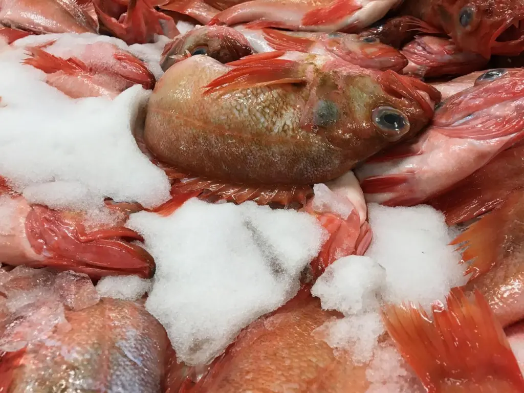 GreenFish