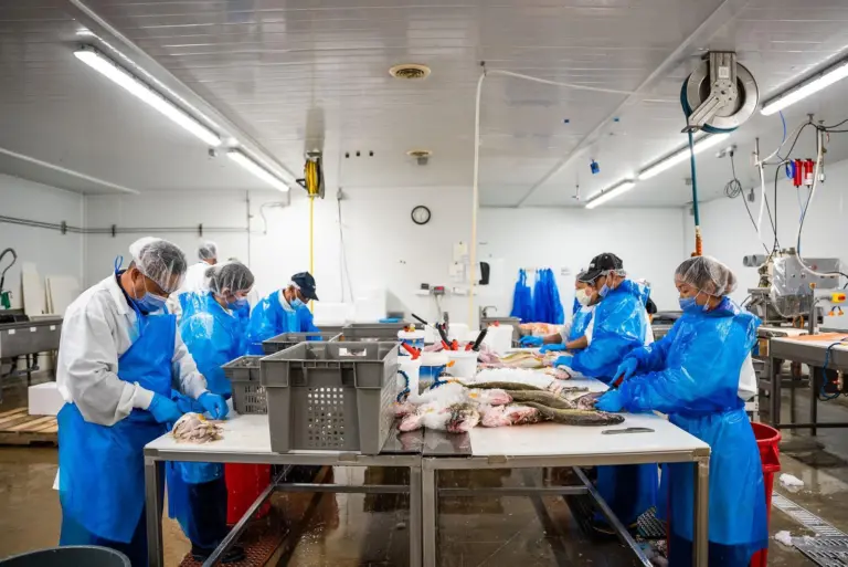 Workers at Steelhead Food Co processing facility