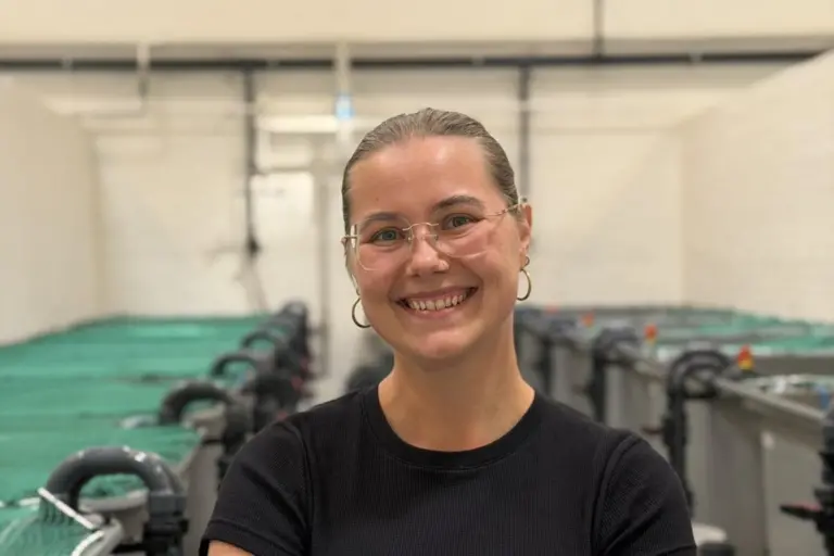 Pernille Bak Post