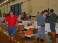 00_59795_BCF84714-CC42-11D9-9BD3-B771A43F498C