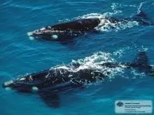 00_61803_2BC09D3A-3773-11DB-BC40-E76CF42D6891