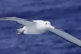00_60059_EA132346-2D5F-11DD-B4F3-CF553F5D7BE3