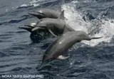 00_60161_93085372-A907-11DD-9F98-F6F1C16069DE