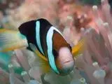 00_60415_3D9B6328-D522-11DE-9F62-F6F1C16069DE