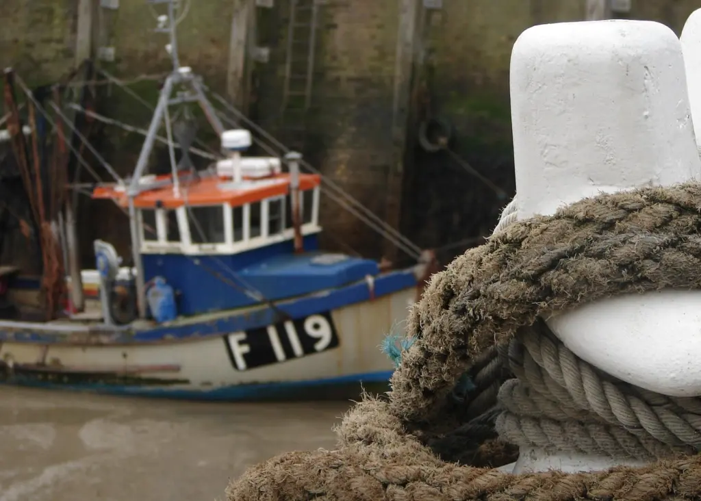 The regulation of marine resources has passed into the hands of the Marine Management Organisation. Credit: Daplaza