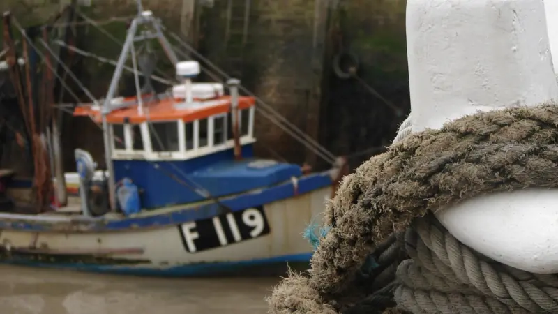 The regulation of marine resources has passed into the hands of the Marine Management Organisation. Credit: Daplaza