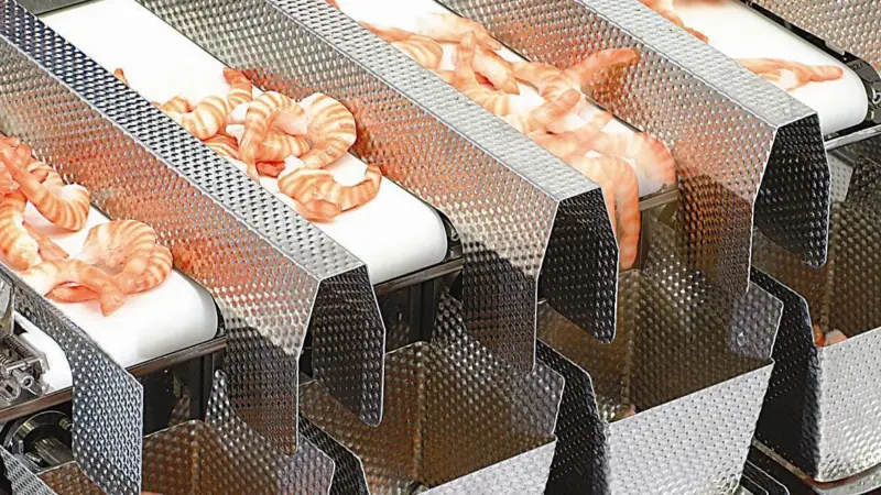The Ishida Fresh Food Weigher presents another solution to the handling and weighing of sticky products, featuring a linear multihead design, fed by belts from an infeed table
