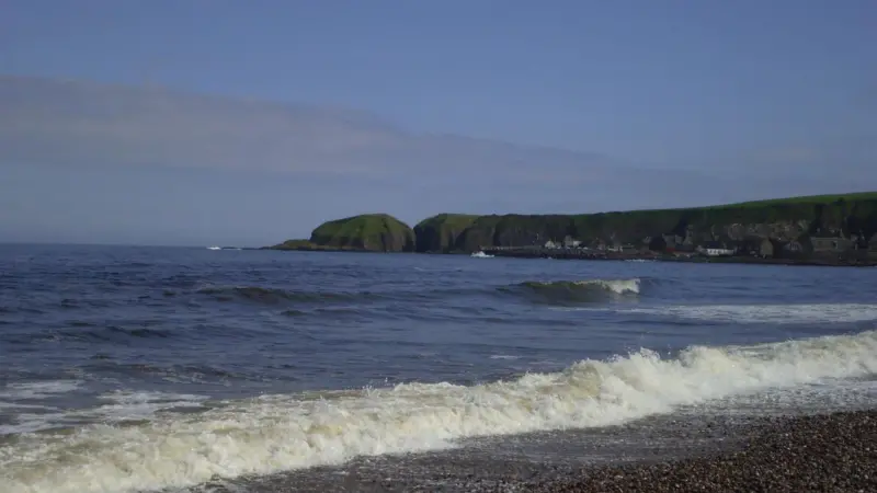 Scotland's Marine Bill received Royal Assent yesterday