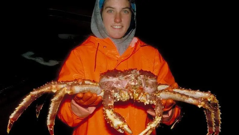 Red King Crab. Credit: NOAA