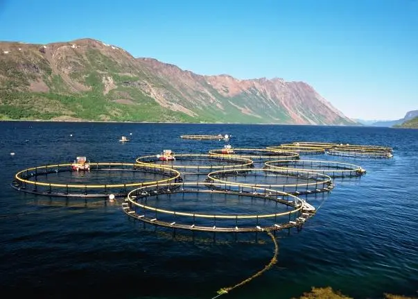 The OxyVision controlled oxygen-injection system for offshore fish farms already have hundreds of installations around the world. Photo: Trelleborg AB