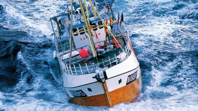 In the first quarter of 2010, exports of fresh seafood made up over half of all Norwegian seafood exports. Credit: NSEC/Kjell Ove Storvik