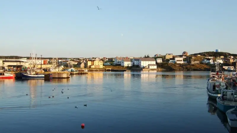 Canada has announced $67m investment in fishing harbours across Canada. Credit: David Ooms