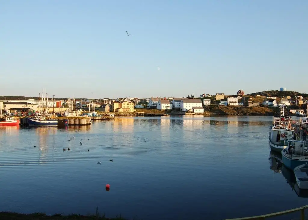 Canada has announced $67m investment in fishing harbours across Canada. Credit: David Ooms