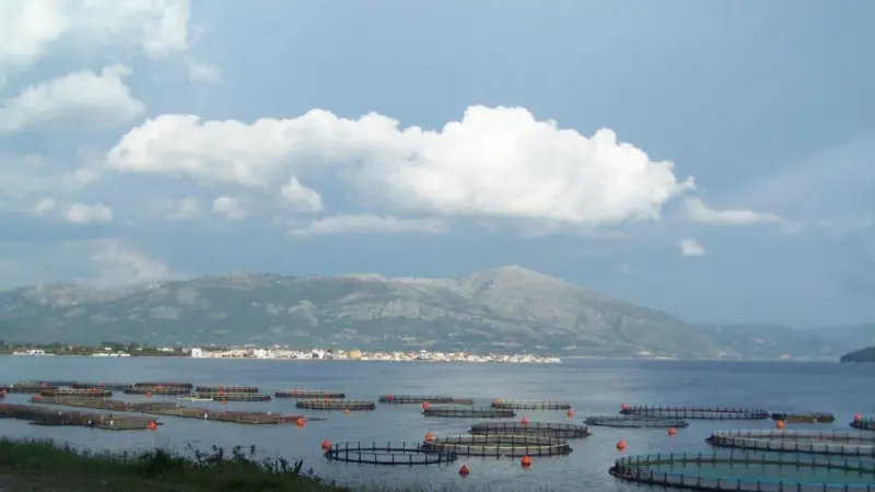 The conference is aimed at aqauaculture companies, research organisations and suppliers looking to avail themselves with the latest policies, products, research and case studies within the offshore  farming industries.