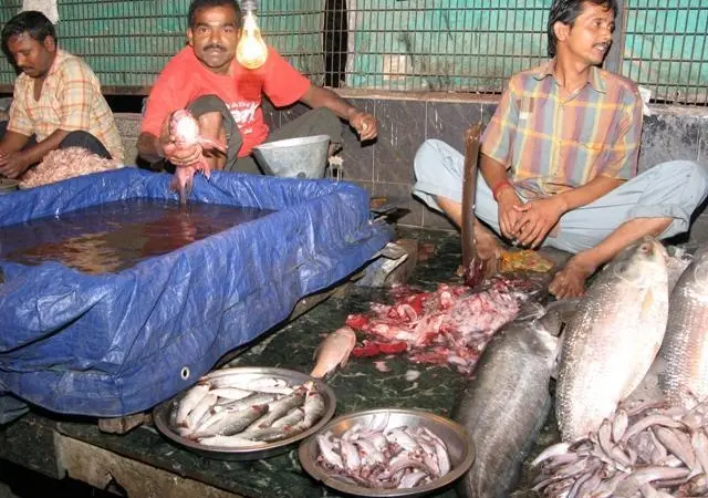 Is fish trash like this across Asia for a great soup or blue skies science?
