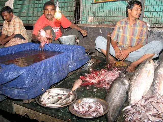 Is fish trash like this across Asia for a great soup or blue skies science?