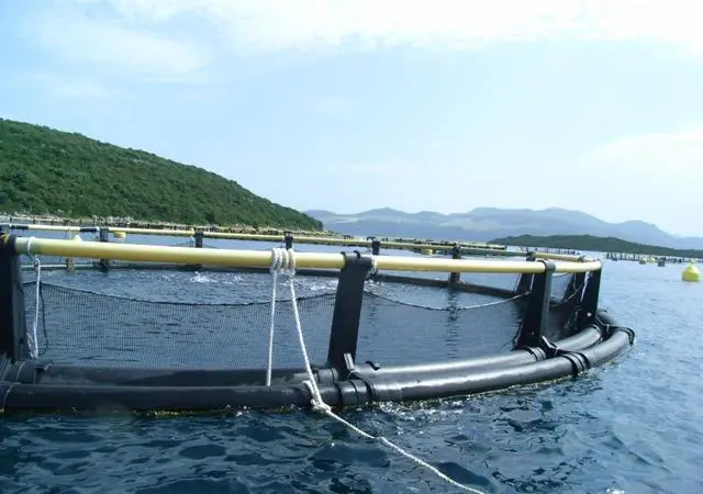The Plankton farm situated 1.5 miles (2.4 km) out to sea from the fishing village of Drace.