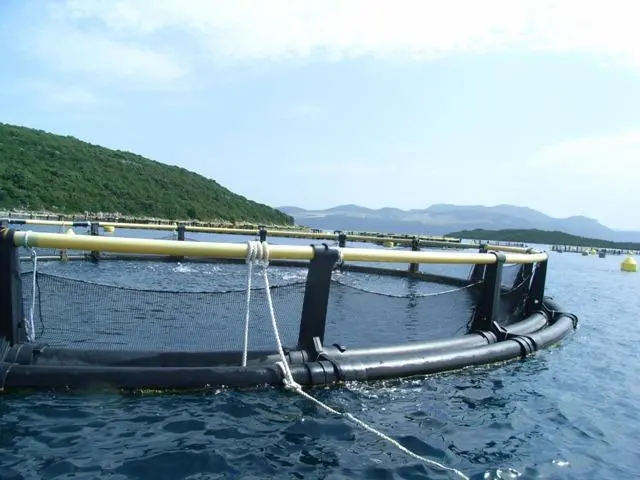 The Plankton farm situated 1.5 miles (2.4 km) out to sea from the fishing village of Drace.