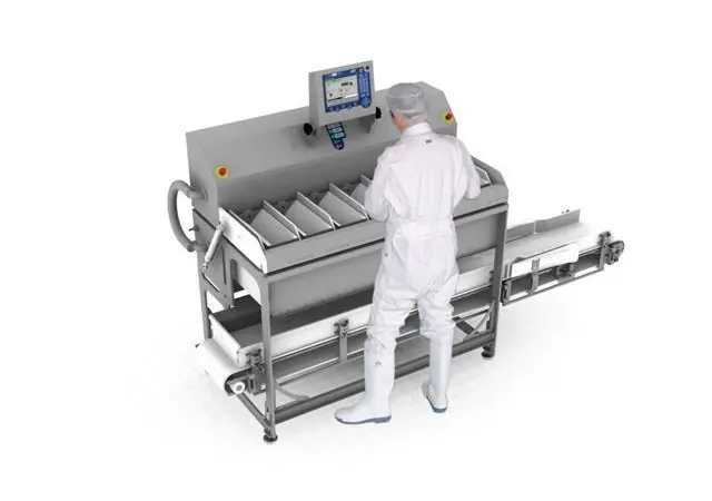 Order book: Marel’s popular new Target Batcher makes batches of fixed weight, graded shrimp.