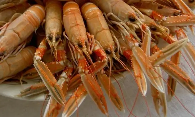 Most Scottish langoustines are exported to France, Spain and Italy.