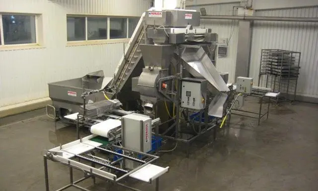The average capacity of Peruza’s new line is 10 tonnes of small fish per hour.
