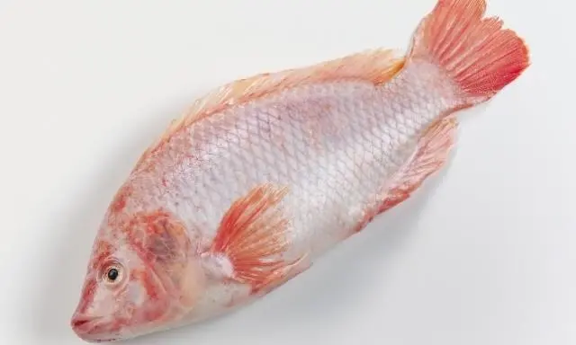 An increase in tilapia sales slightly offset the overall volume reduction of shrimp and ocean-caught fish products HQ sold in Q3.