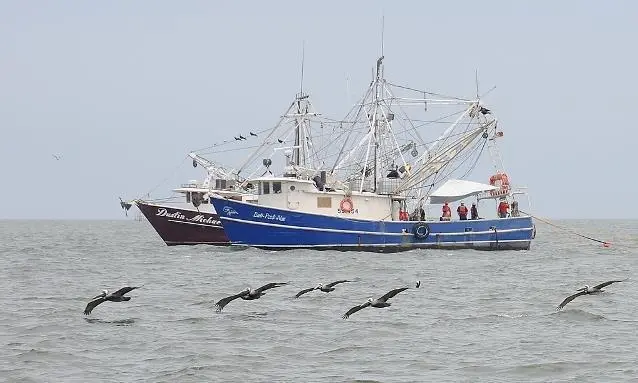 Almost there: 99.6% of federal waters in the Gulf of Mexico are now open.