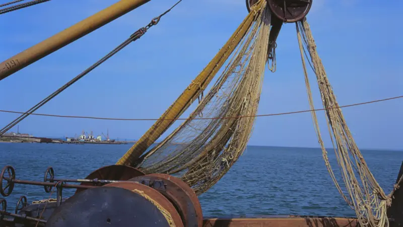 Prior to the implementation of the EU’s IUU regulation in January 2010, member states annually imported €1.1 billion-worth of illegal fish