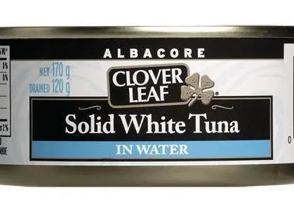 Greenpeace’s report claims that most brands of Canadian canned tuna use fish coming from unsustainable and socially irresponsible fisheries