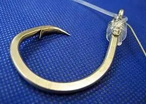 Circle Hooks are sharply curved back in a circular shape and have demonstrated a significant reduction in the hooking rate of marine turtles in longline fisheries. © WWF-US / Jill Hatzai