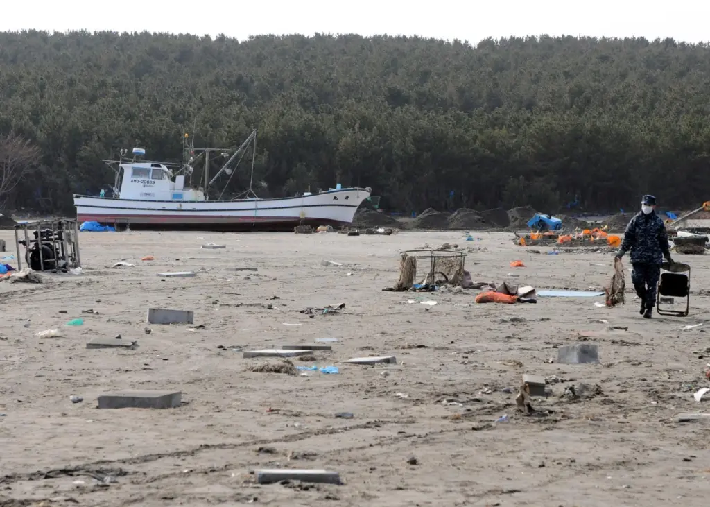 A Sailor assigned to Naval Air Facility Misawa carries debris to a dumpsite during a cleanup effort at the Misawa Fishing Port. Credit: US Navy photo by Mass Communication Specialist 2nd Class Devon Dow