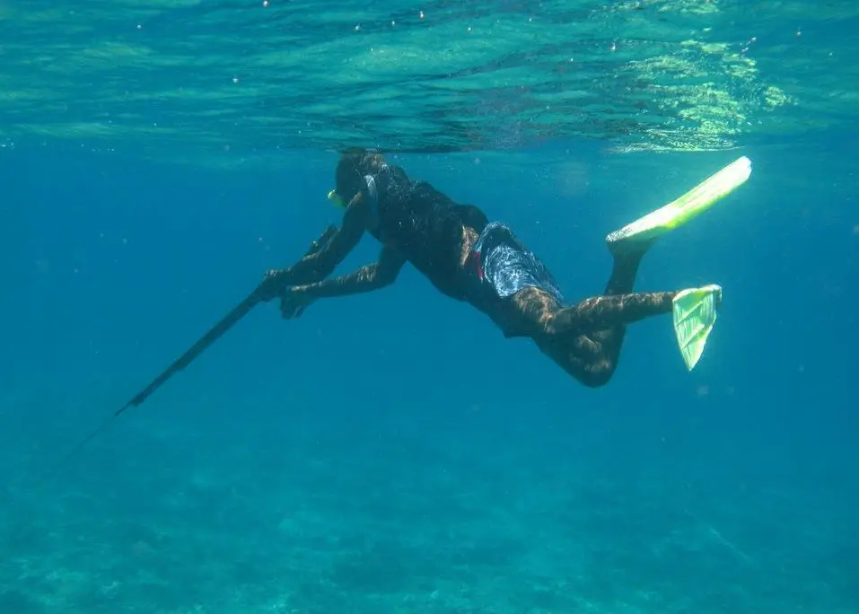 A Papua New Guinean spear fisherman loading a rifle-style spear gun at the surface. These spear guns are normally hand carved wooden stocks with rubber slings that fire a thin metal rod that has been hand sharpened.