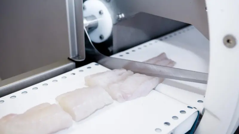 The Marel I-Cut 10 portion cutter, designed for use in basic processing, is a simple but highly effective machine, according to the company. It secures rapid payback through substantial savings in labour costs and improved yields, says Stella Bj...