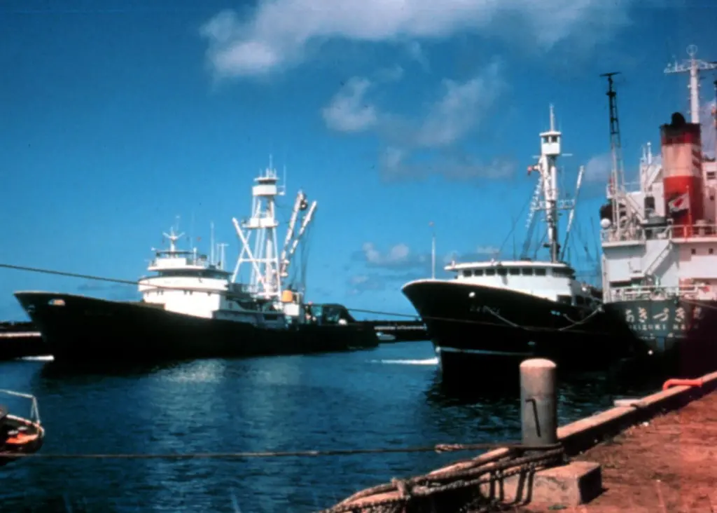 Damanaki expects Member States to ensure full compliance by their vessels during the bluefin tuna season. Credit: NOAA