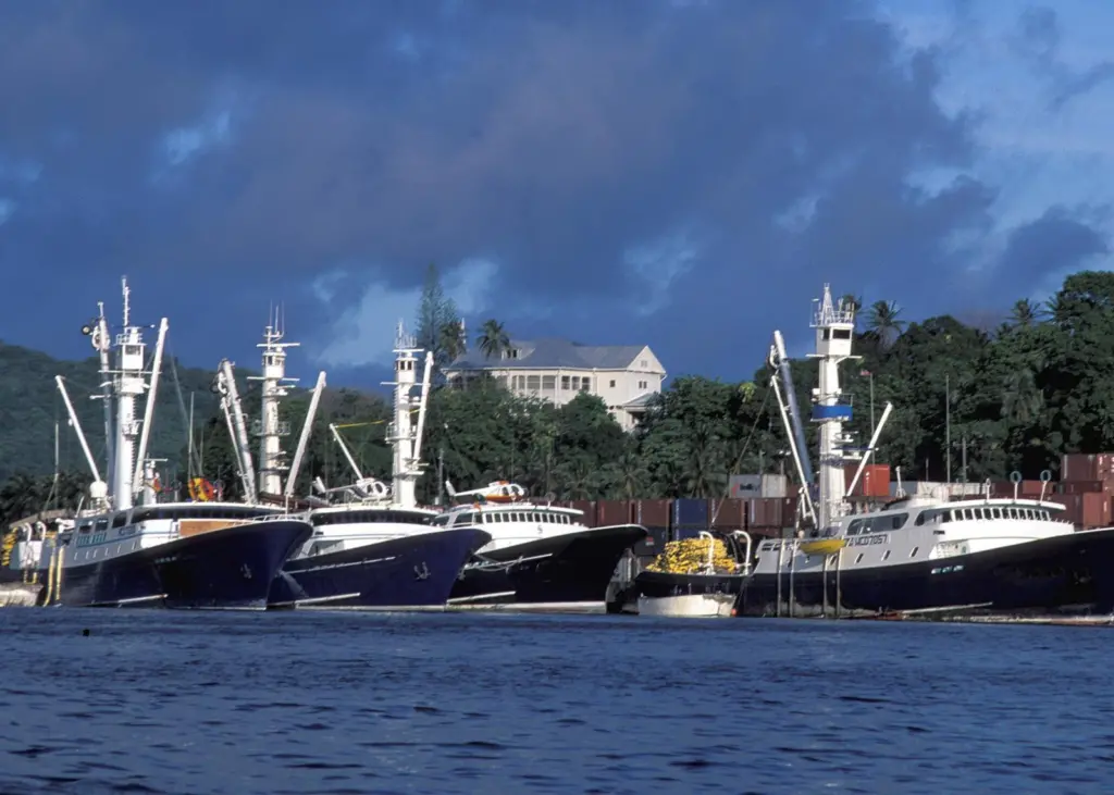 Bluefin tuna caught by the Libyan fleet will be “well on track to be deemed illegal”. ©Wolcott Henry 2005/Marine Photobank