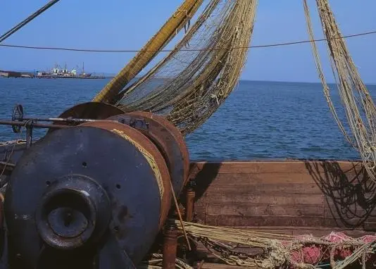 The European Fish Fight will be launched next Tuesday