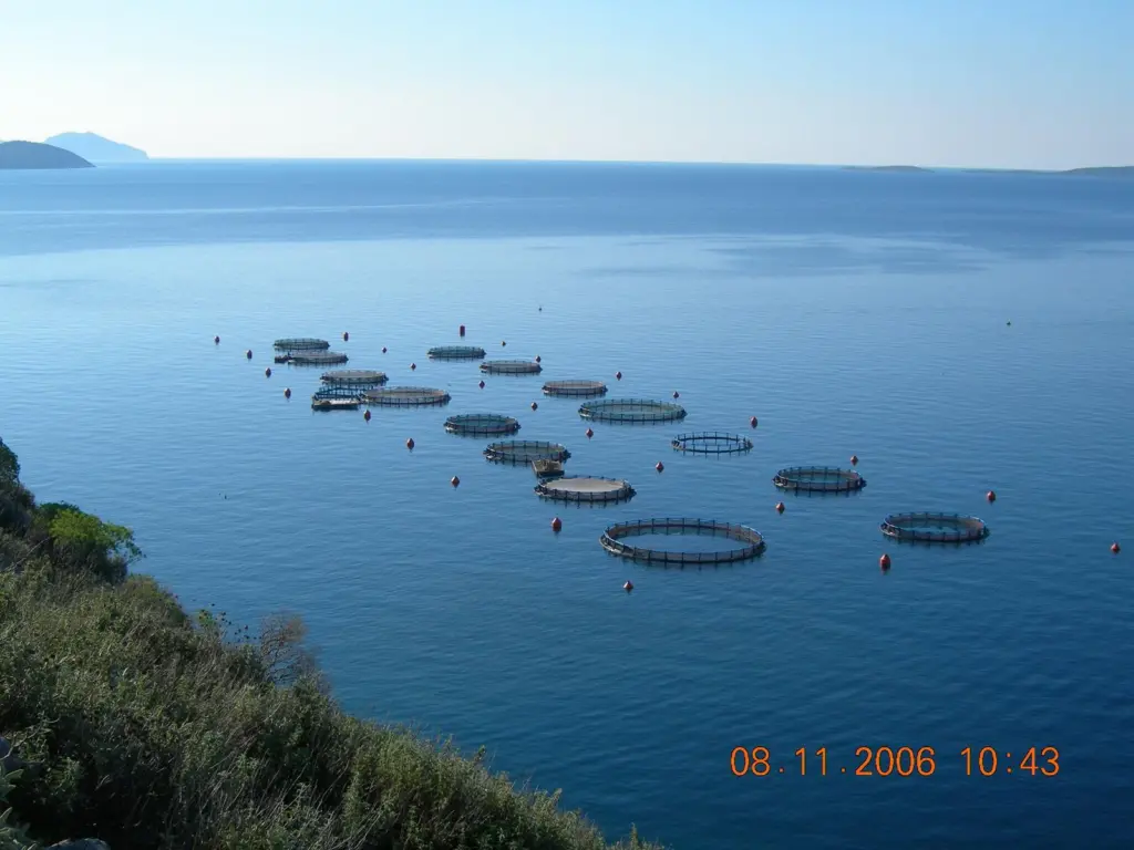Andromeda says that Dyneema® nets are worth the investment. Picture courtesy of Andromeda