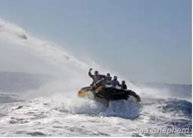 Sea Shepherd Delta pursued by irate group of fishermen while being hosed by a water cannon. Photo: Libby Miller