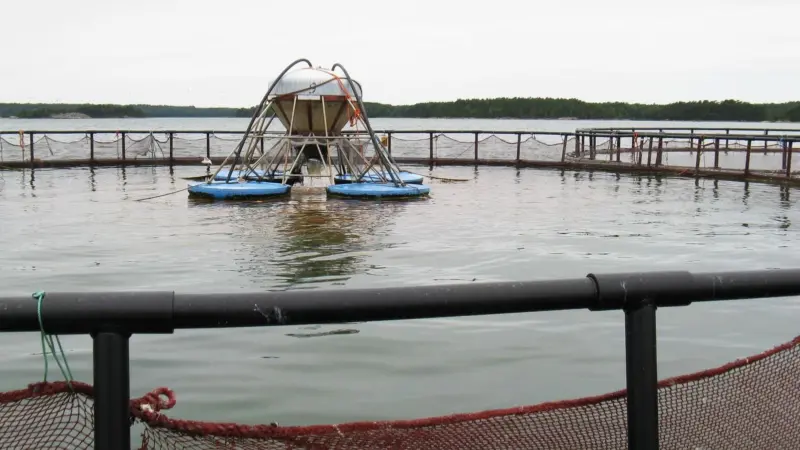 Salmon farm. Credit: Plenz