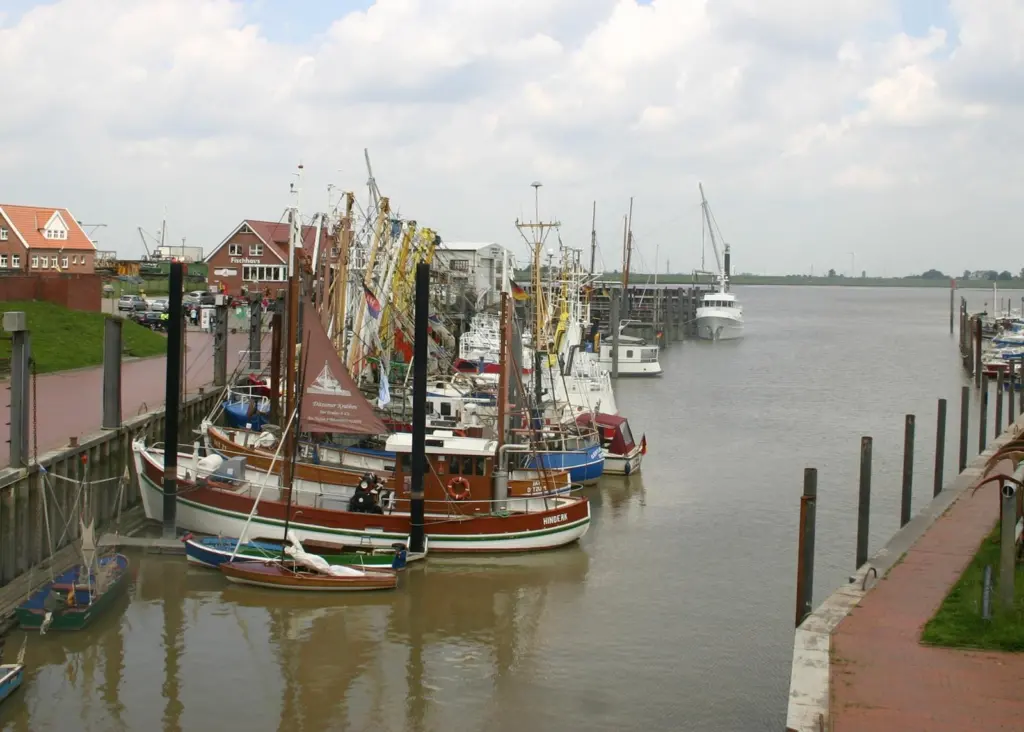 The report on the EU fishing fleet shows a reduction in economic performance in recent years