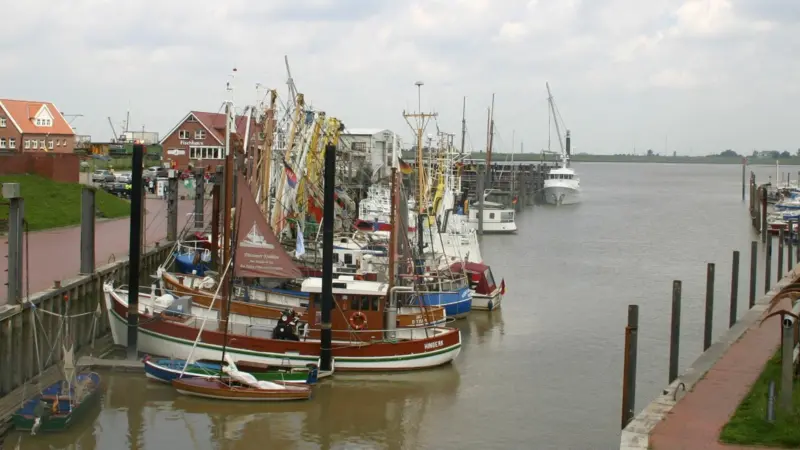 The report on the EU fishing fleet shows a reduction in economic performance in recent years