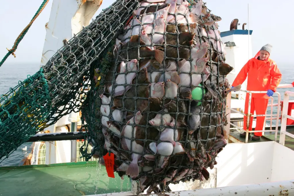 Fishing with Danish seine