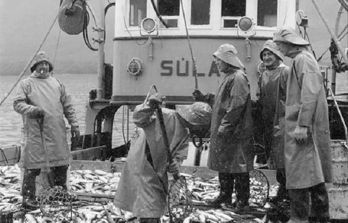 66°NORTH - 85 years of protective clothing